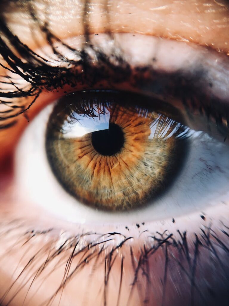 human eye